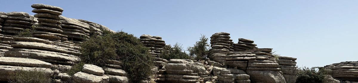 Blue Crane reisverhalen.