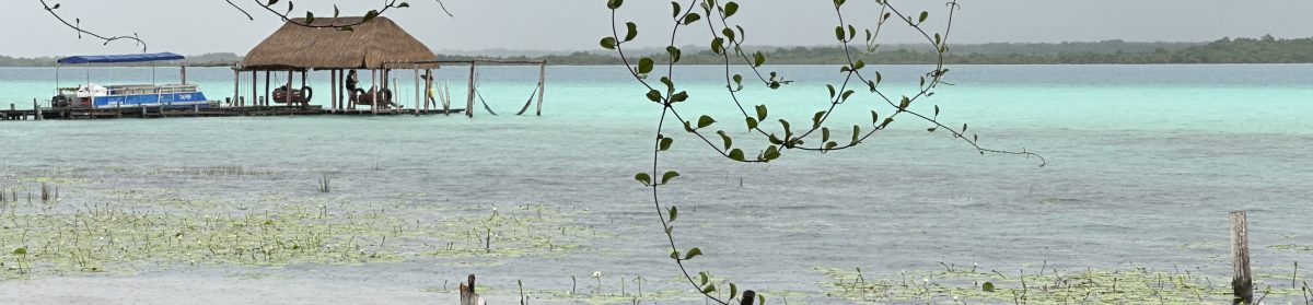 Blue Crane reisverhalen.