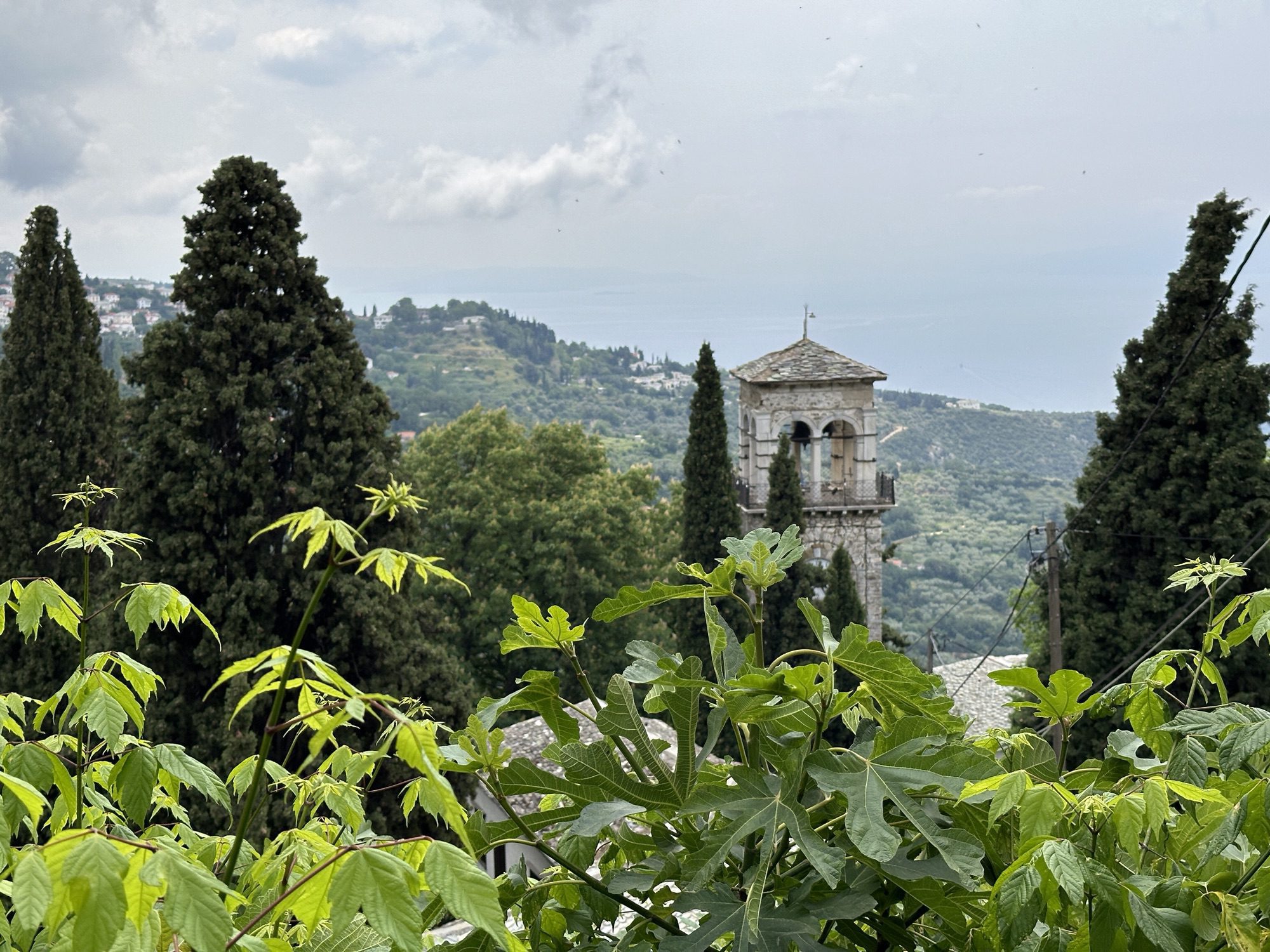 Begroeide heuvels met uitstekende kerktoren in Makrinitsa