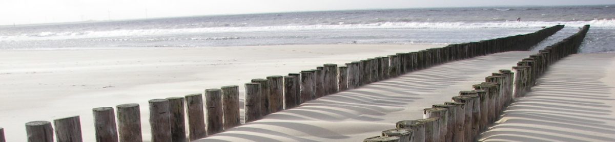 Blue Crane reisverhalen.