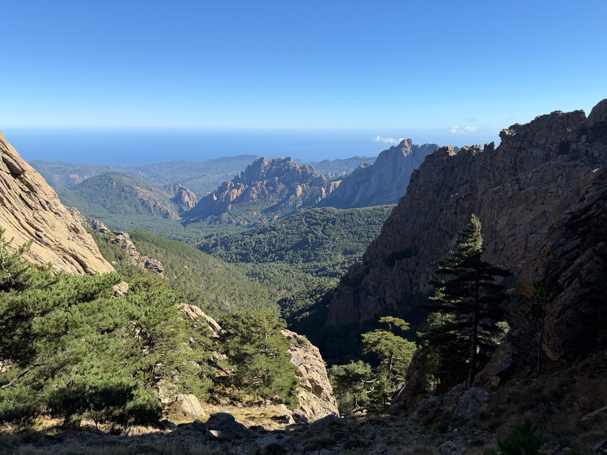 Panorama over de begen.