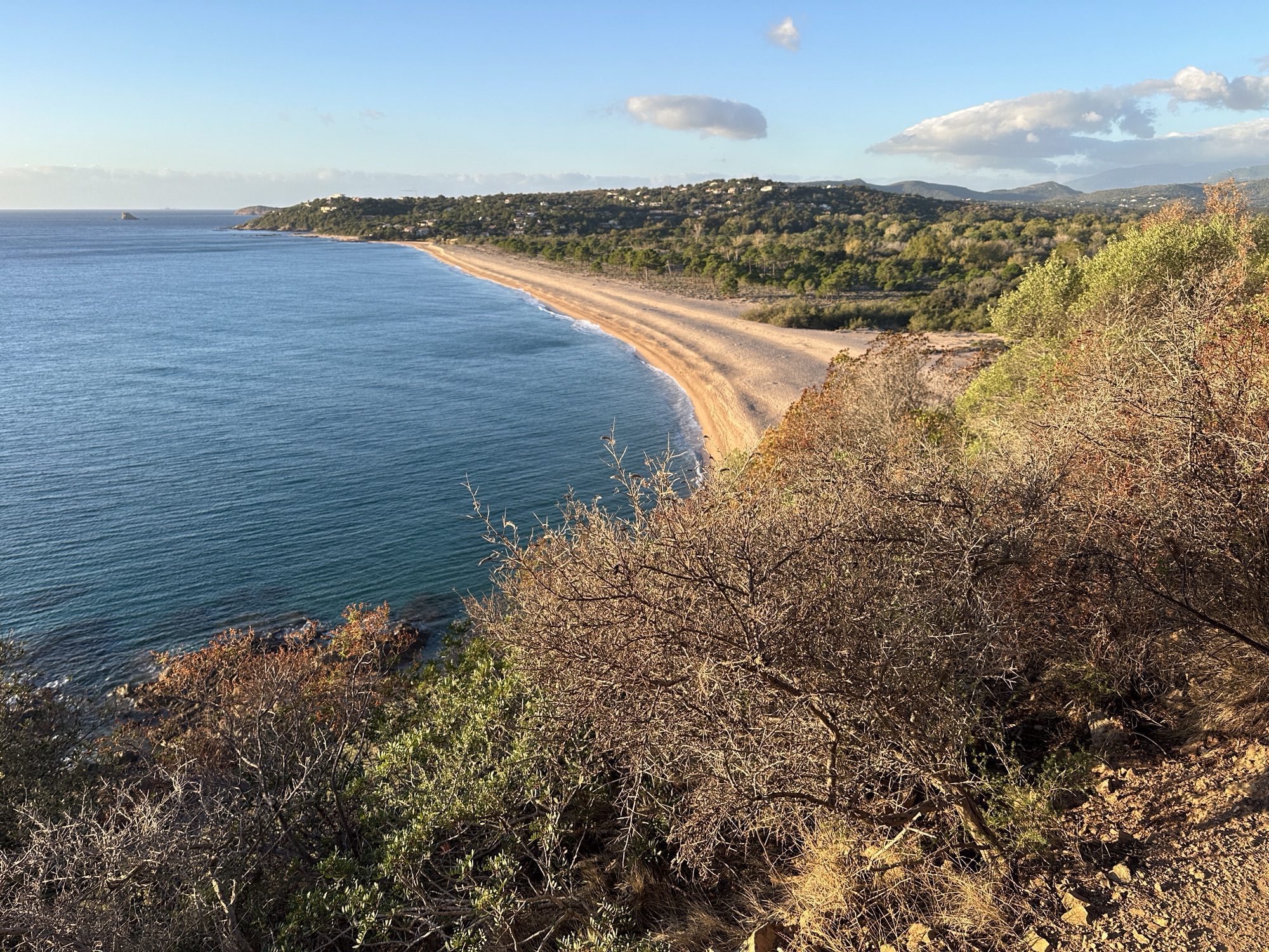 Beboste baai met strand.