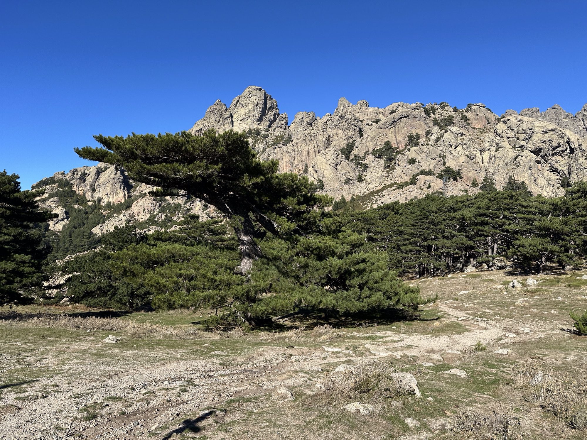 Rotsen met boom op voorgrond.
