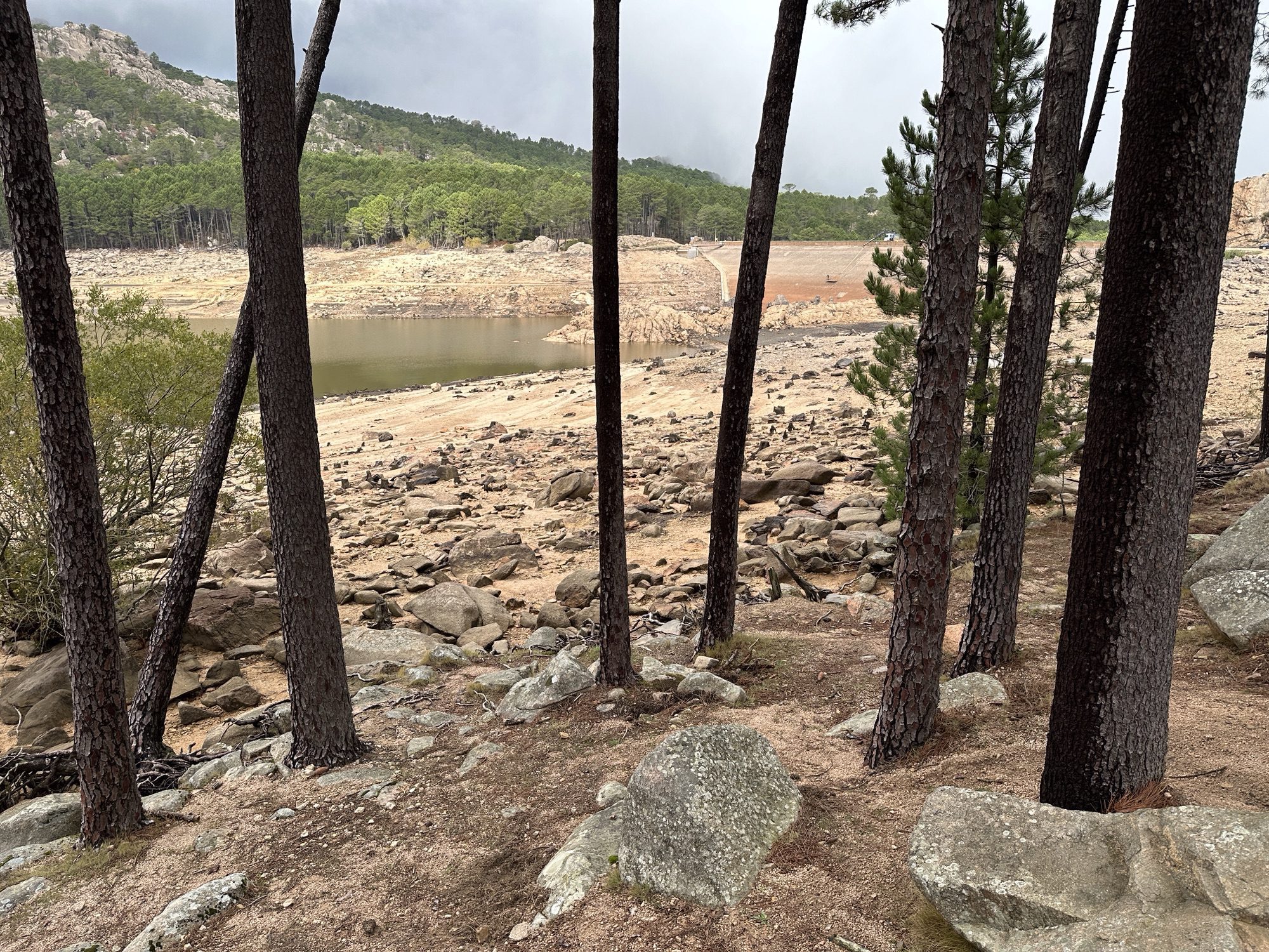Droog stuwmeer van tussen bomen gezien.