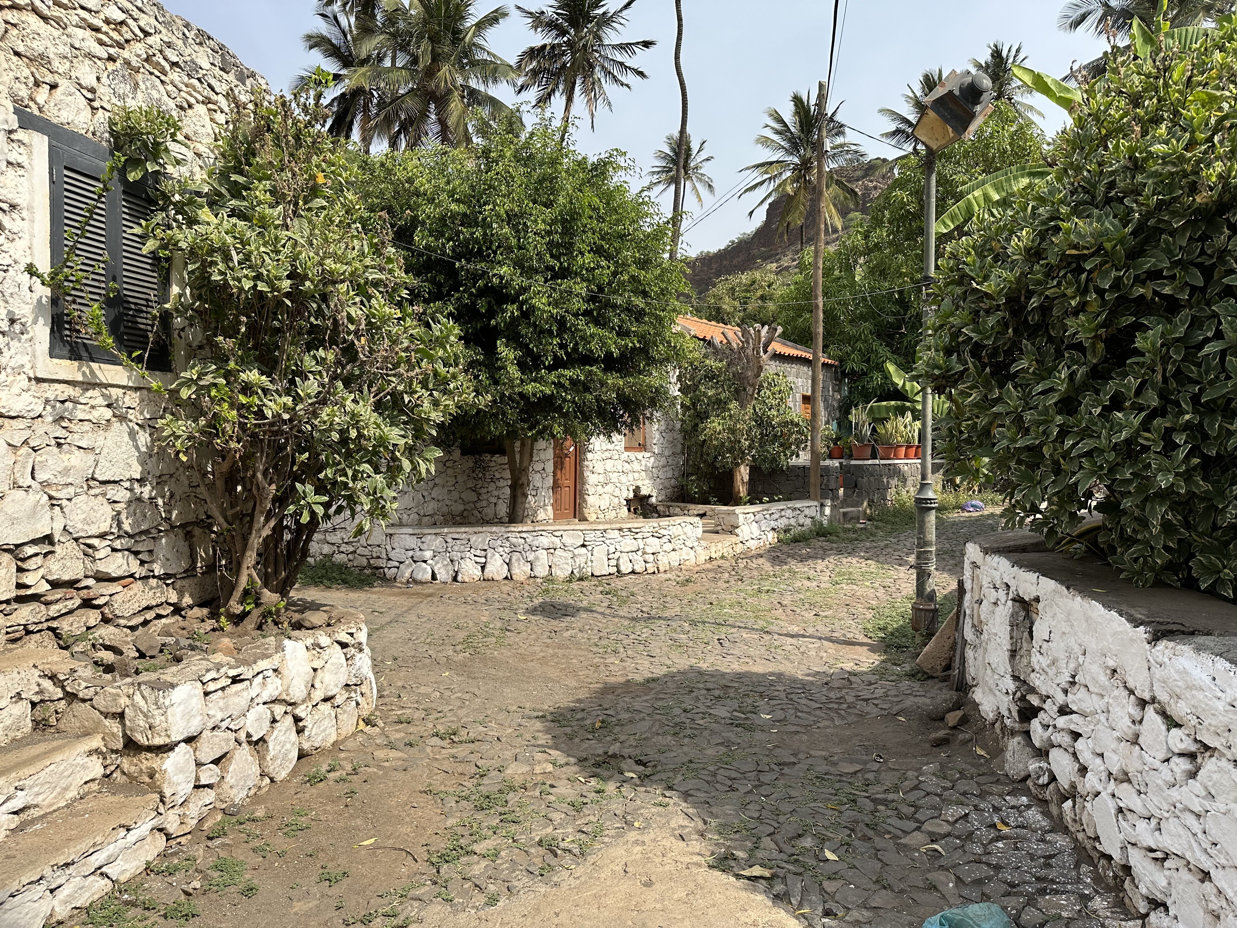 Steegje in Cidade Velha: tropische begroeiing, kasseistraatjes, wit-grijze stenen huisjes.